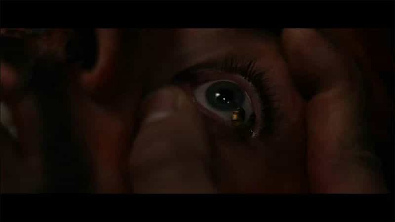 电影《挑战  The Dare》（2017保加利亚 / 美国 / 英国）--高清4K/1080P迅雷BT资源下载