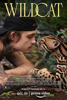 纪录片《野猫  Wildcat》（2022美国）--高清4K/1080P迅雷BT资源下载