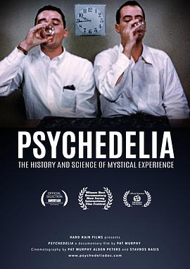纪录片《迷幻时刻  Psychedelia》（2021美国）--高清4K/1080P迅雷BT资源下载