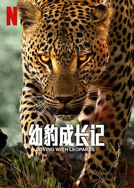 纪录片《豹崽同行  Living with Leopards》（2024英国）--高清4K/1080P迅雷BT资源下载