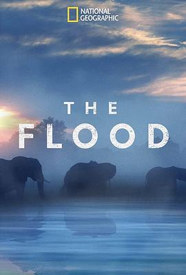 纪录片《The Flood》（2018美国）--高清4K/1080P迅雷BT资源下载