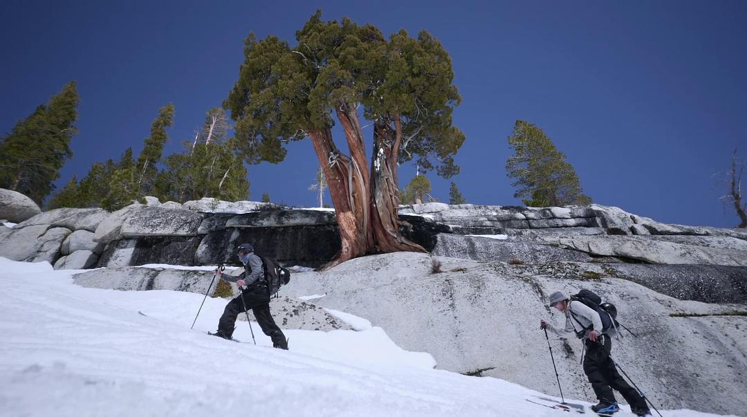 纪录片《Ode To Muir: The High Sierra》（2018美国）--高清4K/1080P迅雷BT资源下载