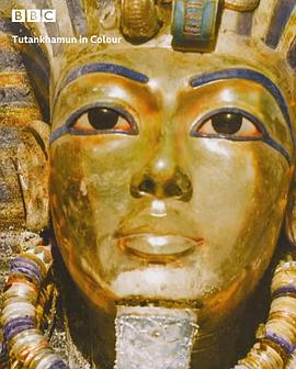 纪录片《Tutankhamun in Colour》（2020英国）--高清4K/1080P迅雷BT资源下载