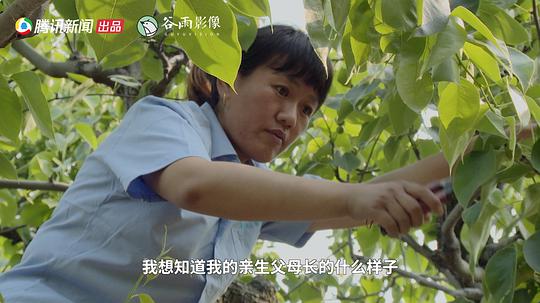 纪录片《江南女儿》（2017中国大陆 / 中国香港）--高清4K/1080P迅雷BT资源下载