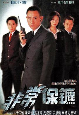 电视剧《非常保镖  非常保镳》（1999中国香港）--高清4K/1080P迅雷BT资源下载