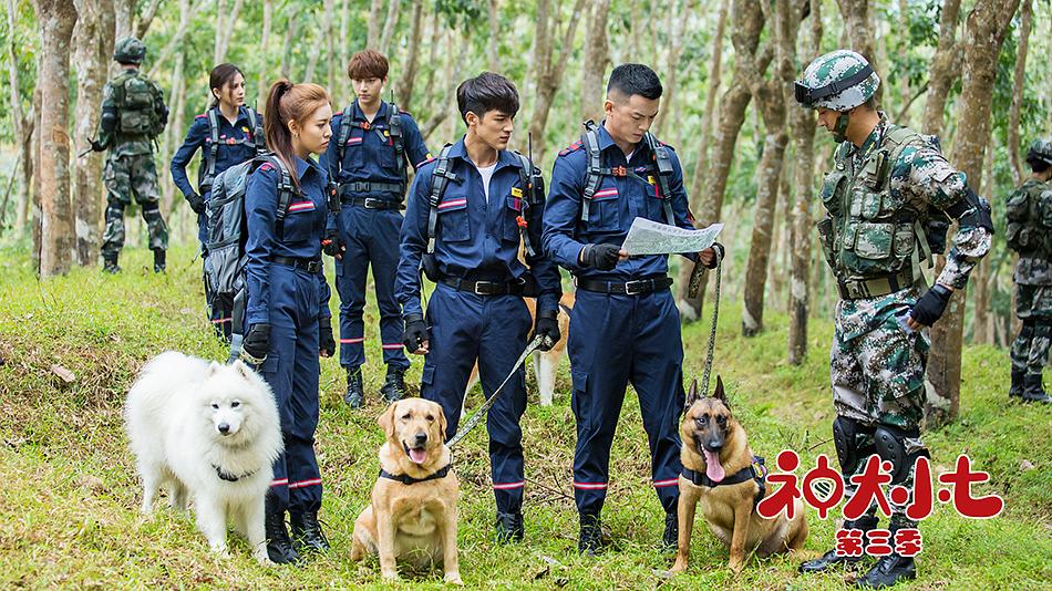 电视剧《神犬小七 第三季》（2019中国大陆）--高清4K/1080P迅雷BT资源下载