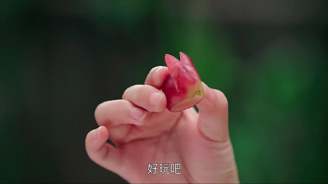 电视剧《花间提壶方大厨》（2017中国大陆）--高清4K/1080P迅雷BT资源下载