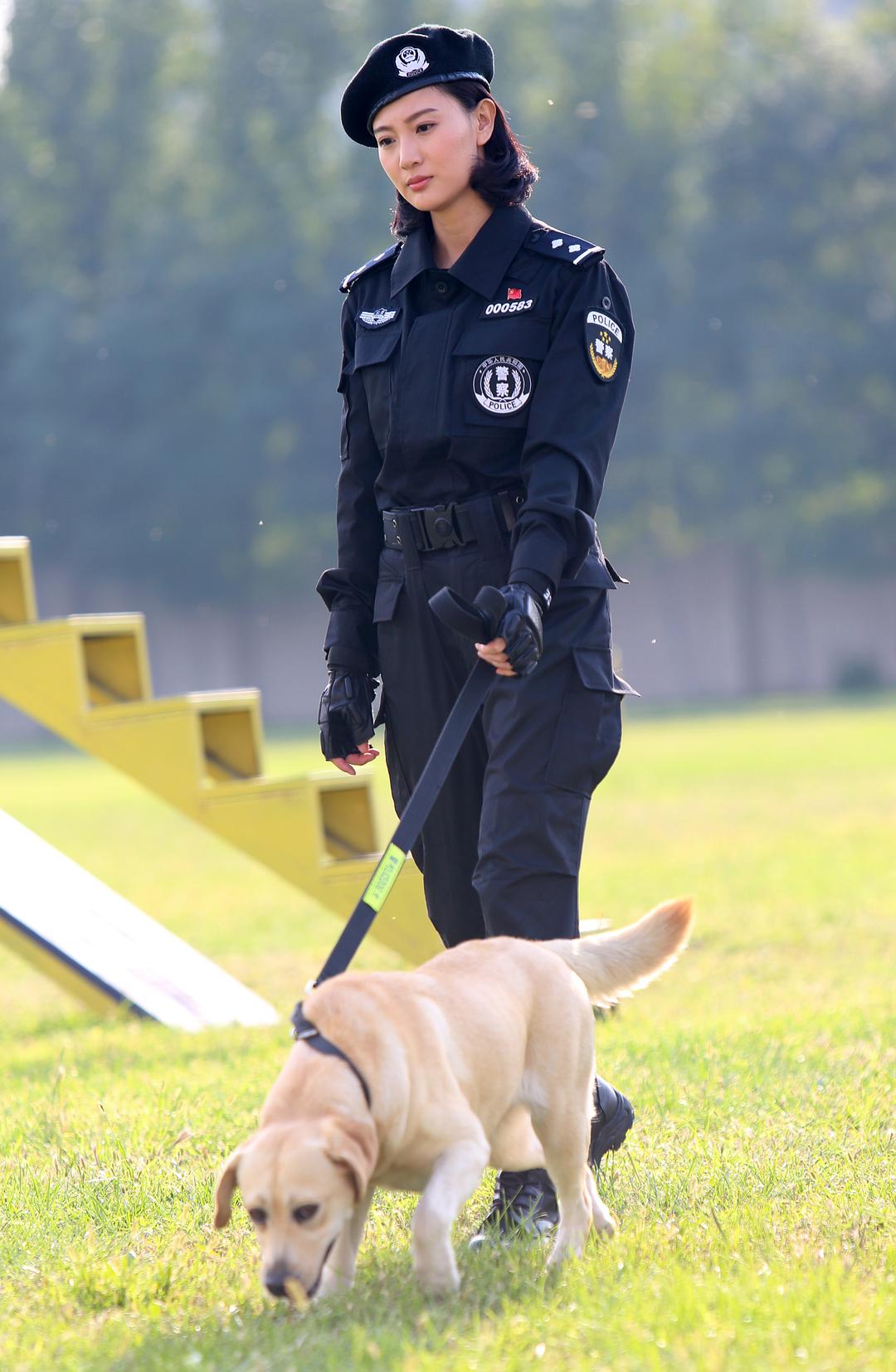 电视剧《警花与警犬》（2016中国大陆）--高清4K/1080P迅雷BT资源下载