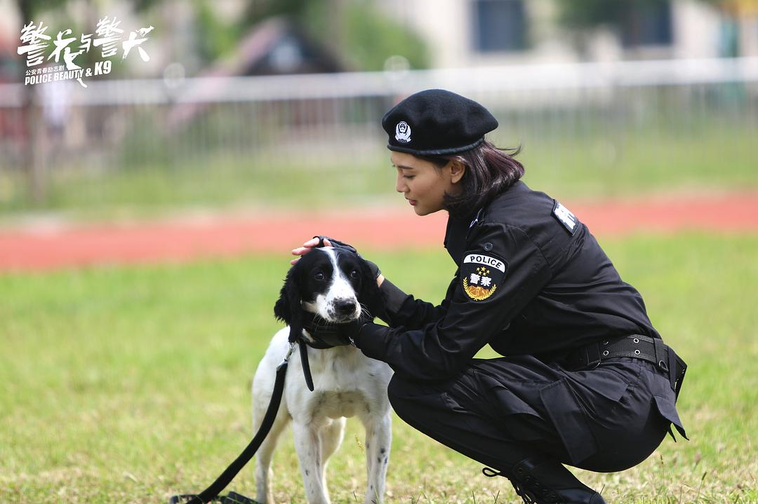 电视剧《警花与警犬》（2016中国大陆）--高清4K/1080P迅雷BT资源下载