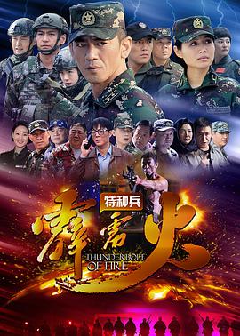 电视剧《特种兵之霹雳火》（2016中国大陆）--高清4K/1080P迅雷BT资源下载