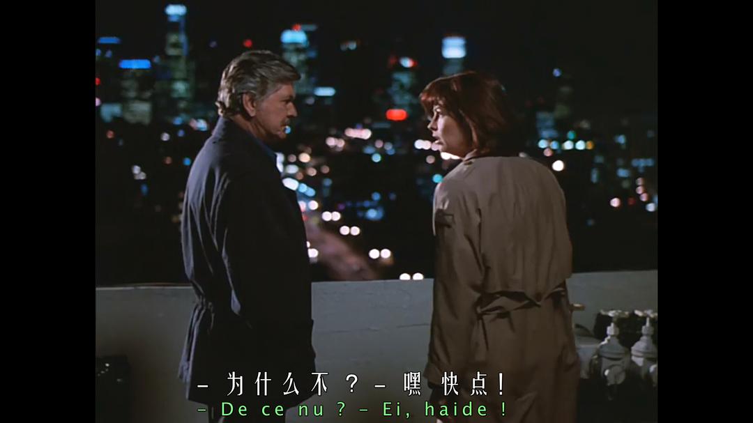 电影《烈火战警  Donato and Daughter》（1993美国）--高清4K/1080P迅雷BT资源下载