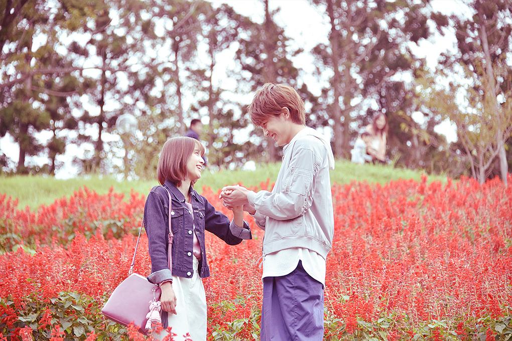 电视剧《花予野兽 第一季  花にけだもの》（2017日本）--高清4K/1080P迅雷BT资源下载