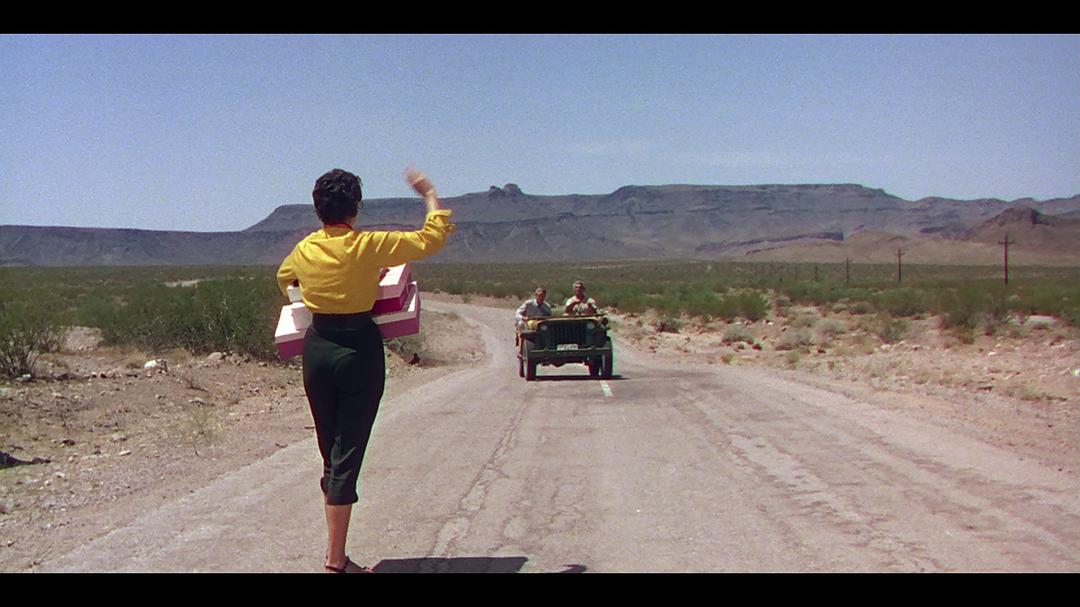 电影《狐火  Foxfire》（1955美国）--高清4K/1080P迅雷BT资源下载