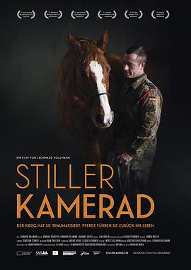 纪录片《沉默的战友  Stiller Kamerad》（2017德国）--高清4K/1080P迅雷BT资源下载