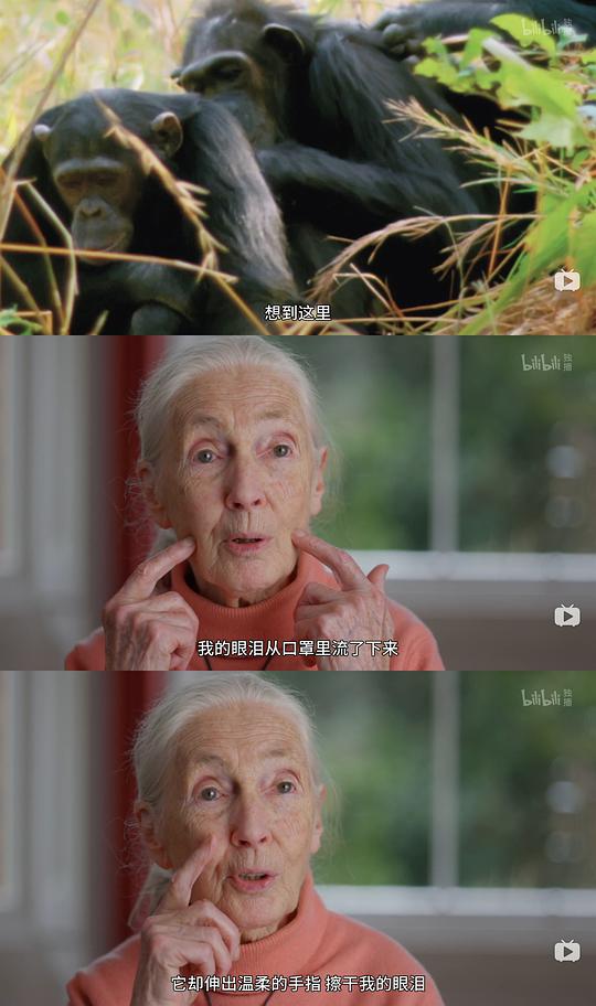 纪录片《珍·古道尔：点燃希望  Jane Goodall: The Hope》（2020美国）--高清4K/1080P迅雷BT资源下载