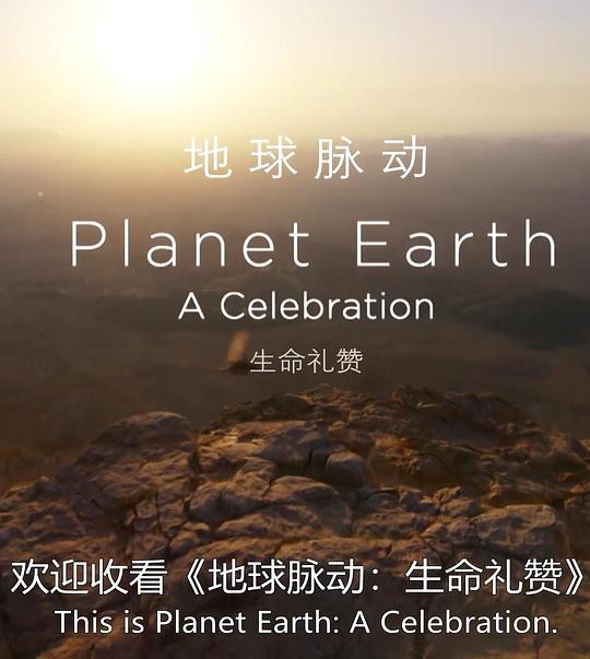 纪录片《地球脉动：生命礼赞  Planet Earth: A Celebration》（2020英国）--高清4K/1080P迅雷BT资源下载