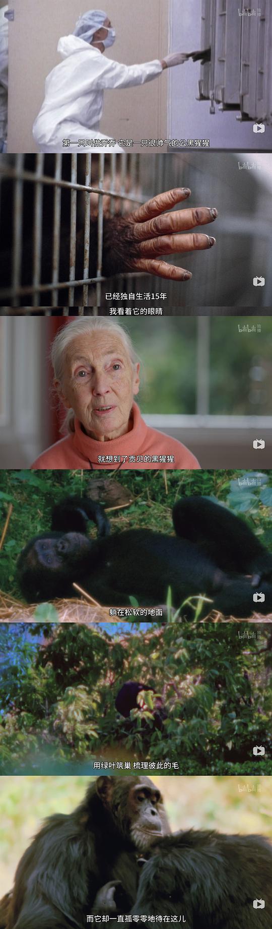 纪录片《珍·古道尔：点燃希望  Jane Goodall: The Hope》（2020美国）--高清4K/1080P迅雷BT资源下载