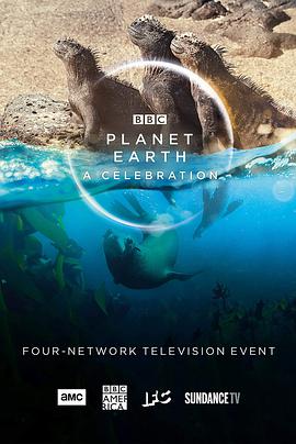 纪录片《地球脉动：生命礼赞  Planet Earth: A Celebration》（2020英国）--高清4K/1080P迅雷BT资源下载