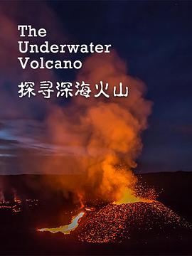 纪录片《探寻深海火山  The Underwater Volcano》（2020法国）--高清4K/1080P迅雷BT资源下载