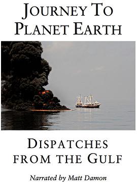 纪录片《海湾浩劫  Dispatches from the Gulf》（2016美国）--高清4K/1080P迅雷BT资源下载