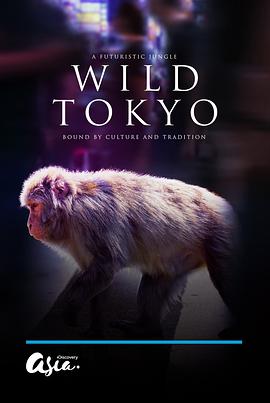 纪录片《狂野东京  Wild Tokyo》（2020英国 / 日本）--高清4K/1080P迅雷BT资源下载