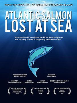 纪录片《Atlantic Salmon: Lost at Sea》（2018美国）--高清4K/1080P迅雷BT资源下载