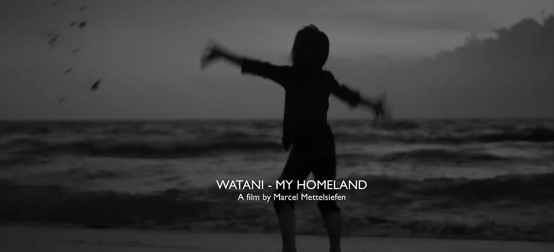 纪录片《瓦塔尼：我的故乡  Watani: My Homeland》（2016英国）--高清4K/1080P迅雷BT资源下载