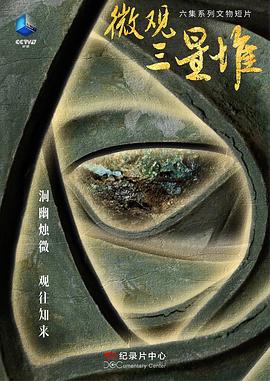 电视剧《微观三星堆》（2023中国大陆）--高清4K/1080P迅雷BT资源下载