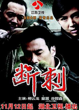电视剧《断刺》（2011中国大陆）--高清4K/1080P迅雷BT资源下载