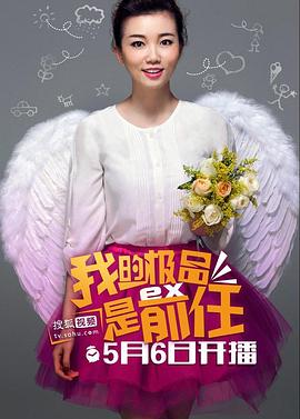 电视剧《极品女士 第一季》（2013中国大陆）--高清4K/1080P迅雷BT资源下载