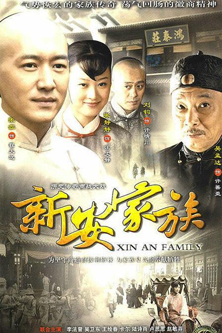 电视剧《新安家族》（2010中国大陆）--高清4K/1080P迅雷BT资源下载