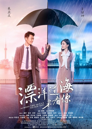 电视剧《漂洋过海来看你》（2017中国大陆）--高清4K/1080P迅雷BT资源下载