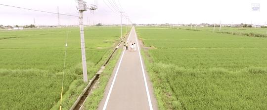 电影《青色归途  青の帰り道》（2018日本）--高清4K/1080P迅雷BT资源下载