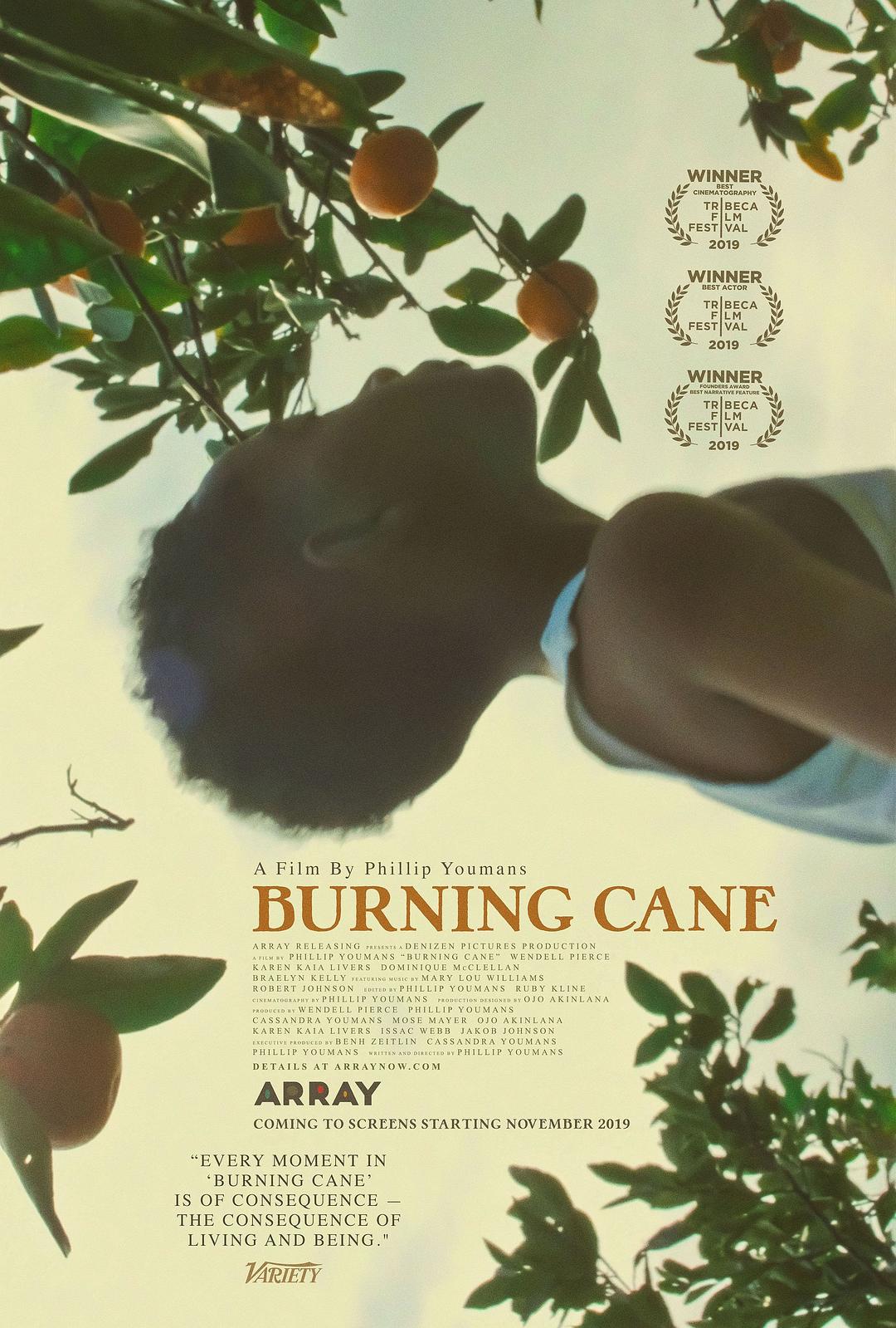 电影《燃烧的甘蔗  Burning Cane》（2019美国）--高清4K/1080P迅雷BT资源下载