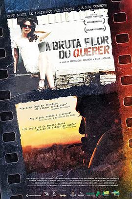 电影《A Bruta Flor do Querer》（2016巴西）--高清4K/1080P迅雷BT资源下载