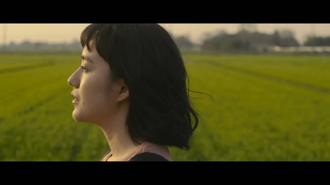 电影《冰果 真人版  氷菓》（2017日本）--高清4K/1080P迅雷BT资源下载
