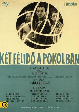 电影《最后的目标  Két félidö a pokolban》（1962匈牙利）--高清4K/1080P迅雷BT资源下载