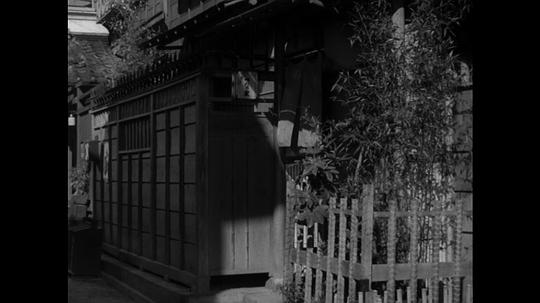 电影《流浪记  流れる》（1956日本）--高清4K/1080P迅雷BT资源下载