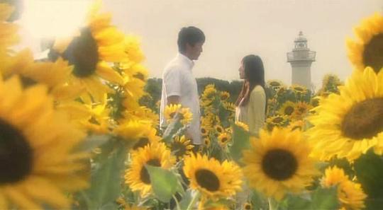电影《邮递员  ポストマン》（2008日本）--高清4K/1080P迅雷BT资源下载