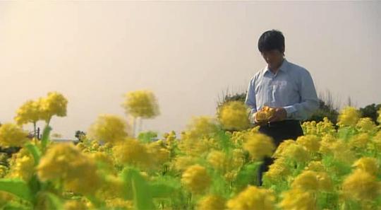 电影《邮递员  ポストマン》（2008日本）--高清4K/1080P迅雷BT资源下载
