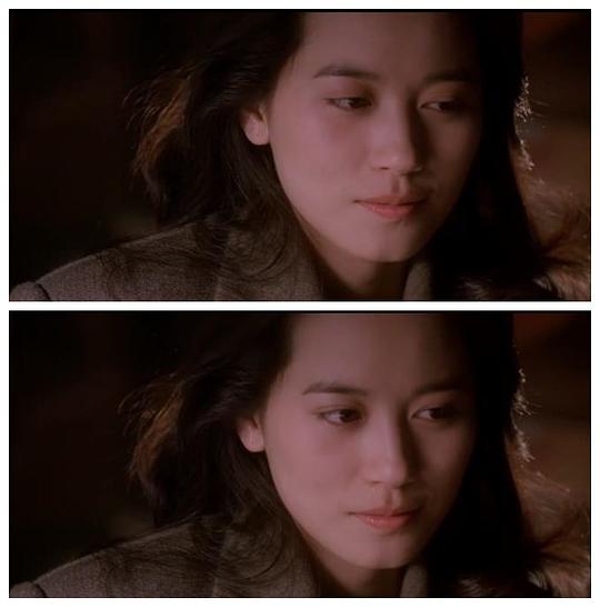 电影《天与地  天與地》（1994中国香港 / 美国）--高清4K/1080P迅雷BT资源下载