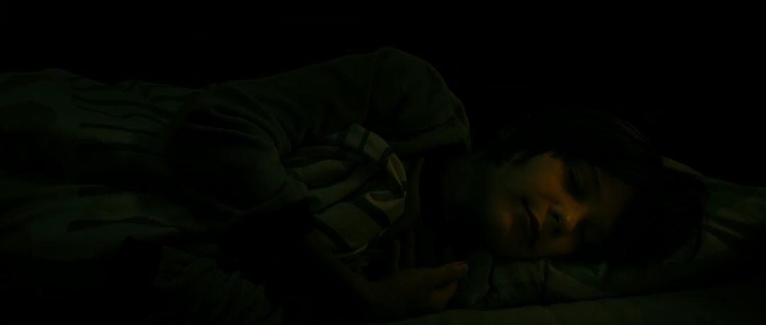 电影《维克多和神秘豪宅  Das Haus der Krokodile》（2012德国）--高清4K/1080P迅雷BT资源下载
