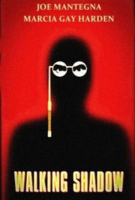 电影《新铁胆英雄  Walking Shadow》（2001美国）--高清4K/1080P迅雷BT资源下载