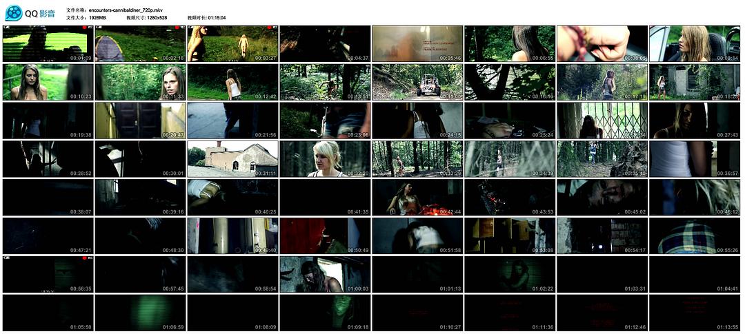 电影《食人晚宴  Cannibal Diner》（2012德国）--高清4K/1080P迅雷BT资源下载