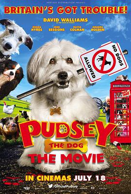 电影《酷狗来找喳  Pudsey: The Movie》（2014英国）--高清4K/1080P迅雷BT资源下载