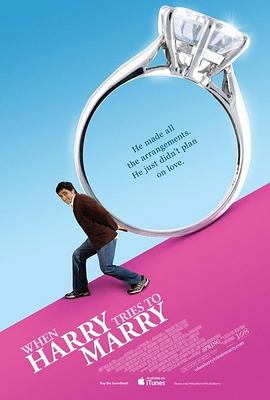 电影《当爱情来临时  When Harry Tries to Marry》（2010美国）--高清4K/1080P迅雷BT资源下载