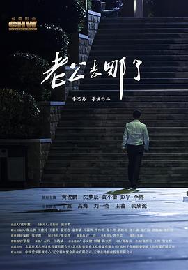 电影《老公去哪了》（2019中国大陆）--高清4K/1080P迅雷BT资源下载