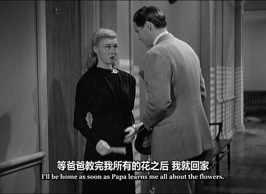 电影《活泼的小姐  Vivacious Lady》（1938美国）--高清4K/1080P迅雷BT资源下载