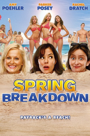 电影《春假一团糟  Spring Breakdown》（2009美国）--高清4K/1080P迅雷BT资源下载