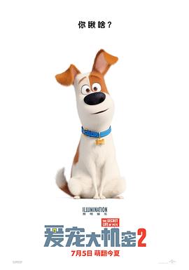 电影《爱宠大机密2  The Secret Life of Pets 2》（2019美国）--高清4K/1080P迅雷BT资源下载